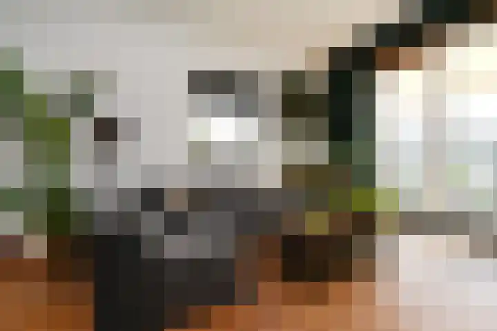 Hazerswoudestraat 332 Zoetermeer thumbnail 6
