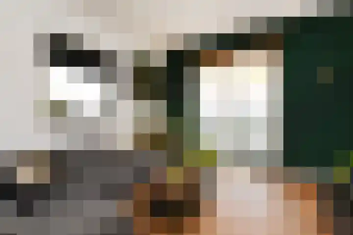 Hazerswoudestraat 332 Zoetermeer thumbnail 7
