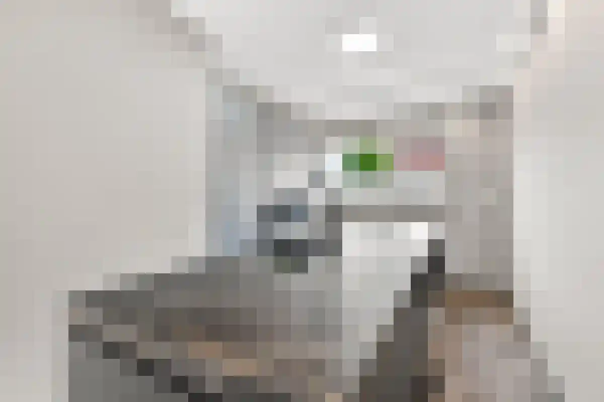 Hazerswoudestraat 47 Zoetermeer thumbnail 6