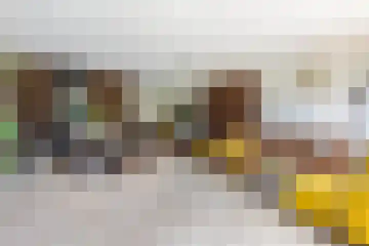 Hazerswoudestraat 6 Zoetermeer thumbnail 11