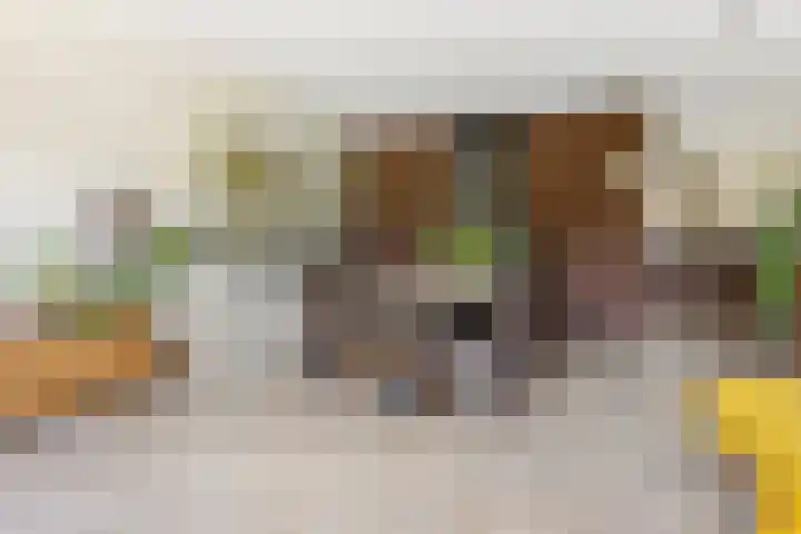 Hazerswoudestraat 6 Zoetermeer thumbnail 13