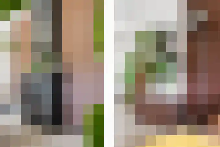 Hazerswoudestraat 6 Zoetermeer thumbnail 14