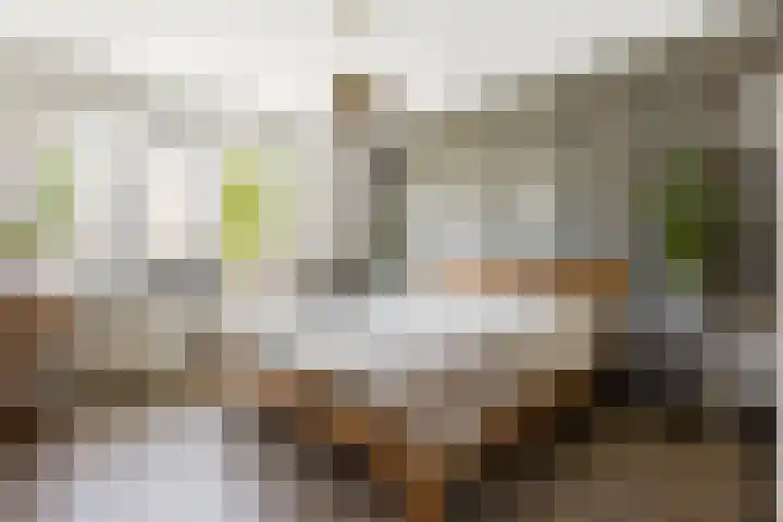 Hazerswoudestraat 6 Zoetermeer thumbnail 16