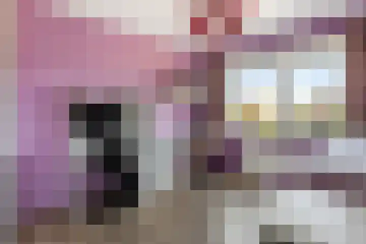 Hazerswoudestraat 6 Zoetermeer thumbnail 17