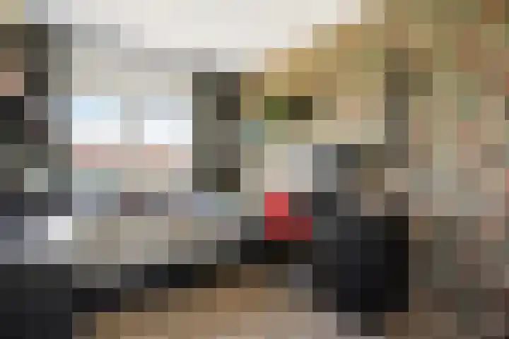 Hazerswoudestraat 6 Zoetermeer thumbnail 19