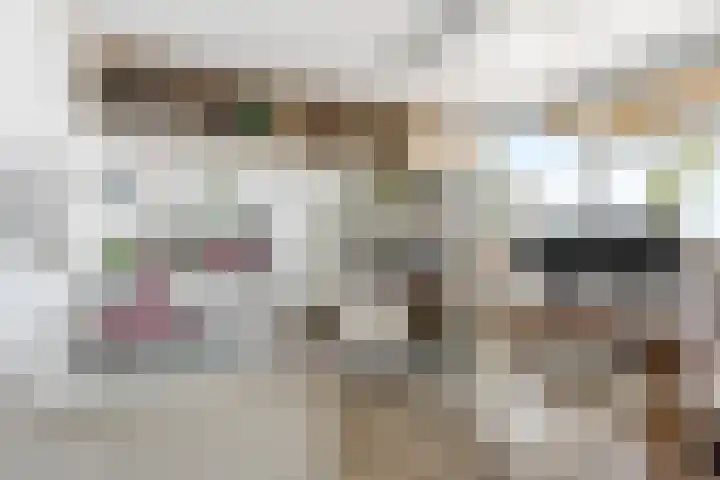 Hazerswoudestraat 6 Zoetermeer thumbnail 25