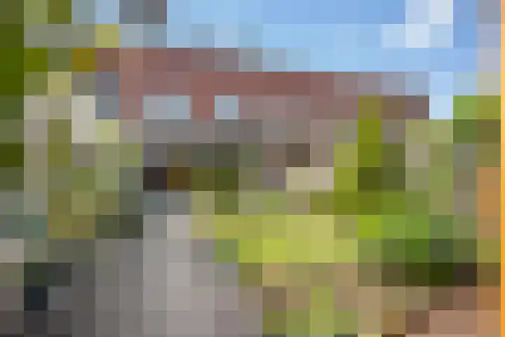 Hazerswoudestraat 6 Zoetermeer thumbnail 32