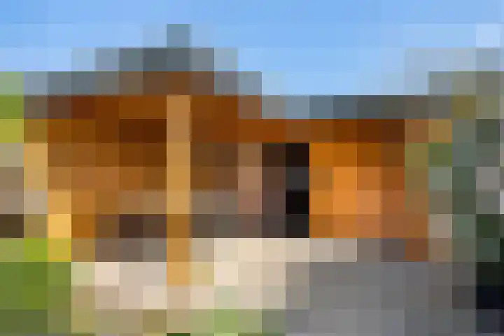 Hazerswoudestraat 6 Zoetermeer thumbnail 34
