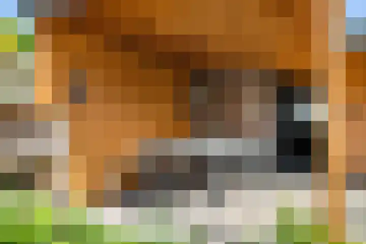 Hazerswoudestraat 6 Zoetermeer thumbnail 35