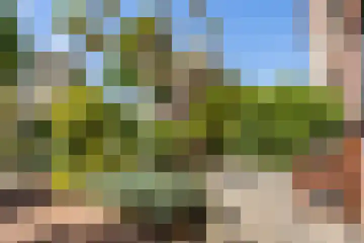 Hazerswoudestraat 6 Zoetermeer thumbnail 39