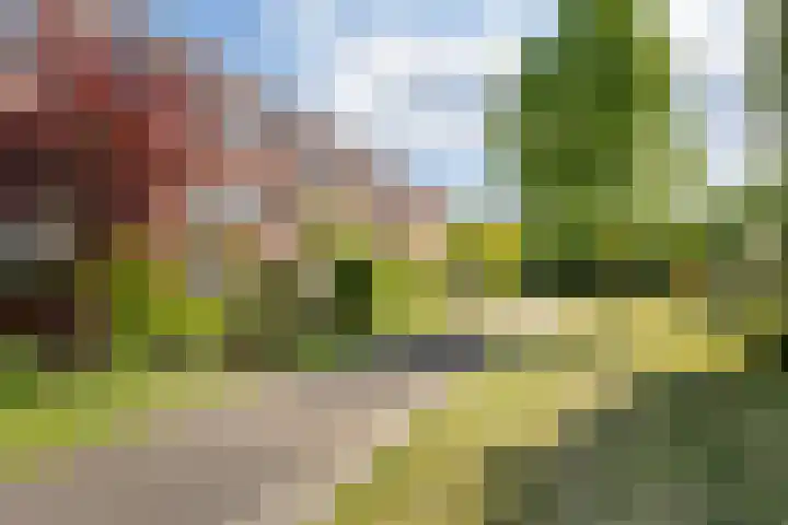 Hazerswoudestraat 6 Zoetermeer thumbnail 40