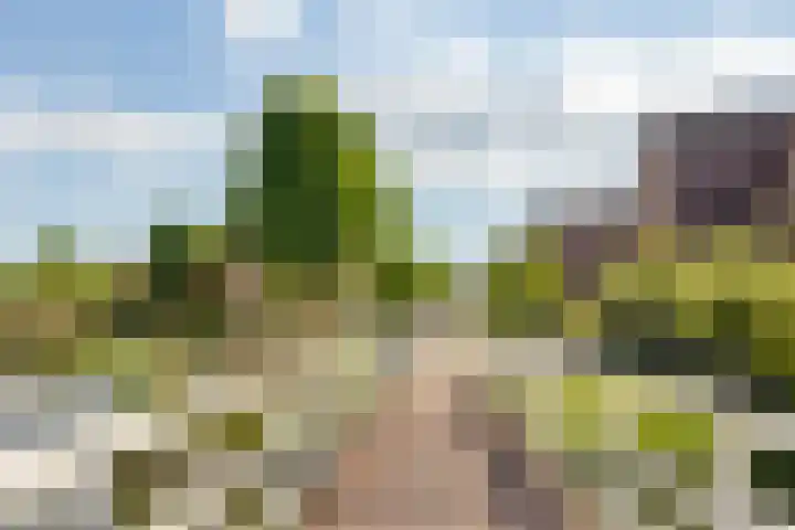 Hazerswoudestraat 6 Zoetermeer thumbnail 45