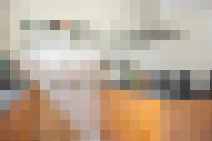 Hazerswoudestraat 6 Zoetermeer thumbnail 5