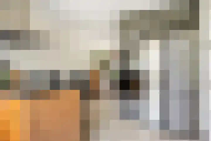 Hazerswoudestraat 6 Zoetermeer thumbnail 6