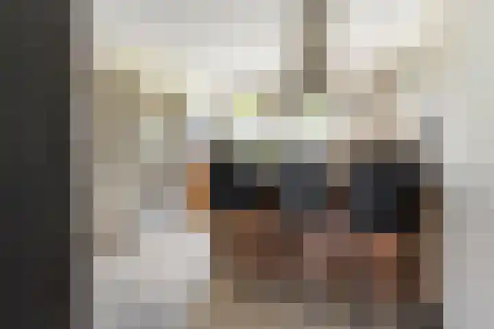 Hazerswoudestraat 6 Zoetermeer thumbnail 8