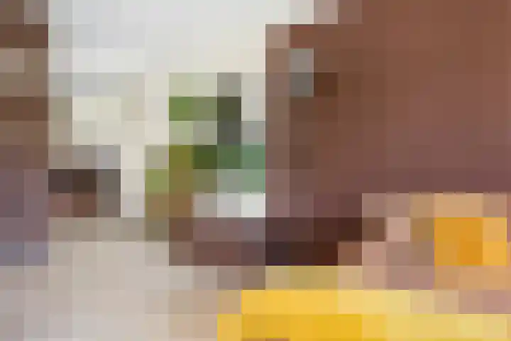 Hazerswoudestraat 6 Zoetermeer thumbnail 9