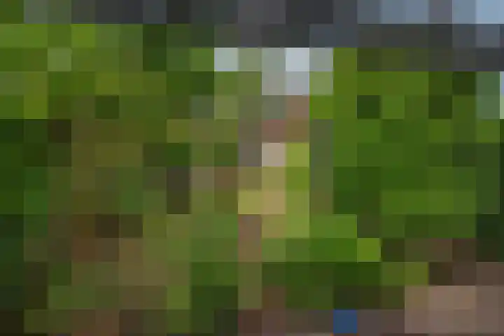 Hazerswoudestraat 63 Zoetermeer thumbnail 11