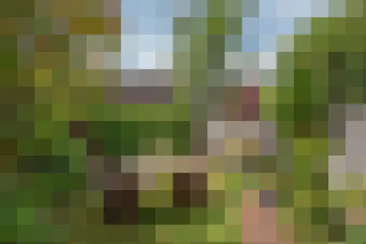 Hazerswoudestraat 63 Zoetermeer thumbnail 12