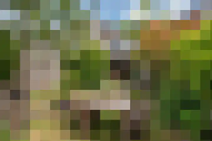 Hazerswoudestraat 63 Zoetermeer thumbnail 13