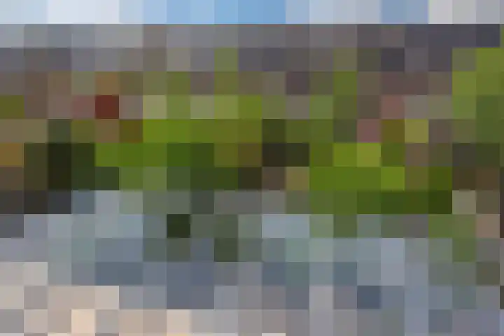 Hazerswoudestraat 63 Zoetermeer thumbnail 29