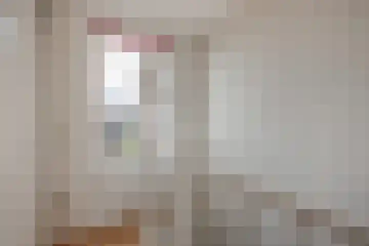 Hazerswoudestraat 63 Zoetermeer thumbnail 34