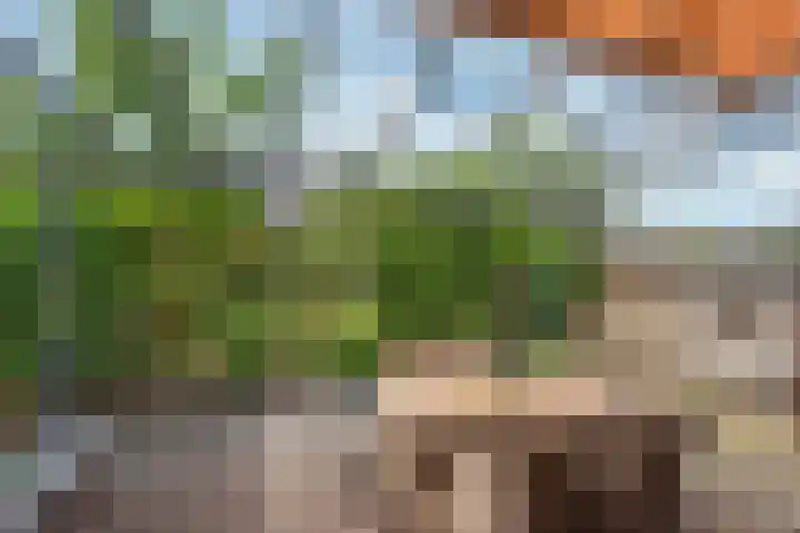 Hazerswoudestraat 63 Zoetermeer thumbnail 4