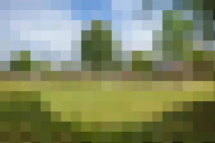 Hazerswoudestraat 63 Zoetermeer thumbnail 40