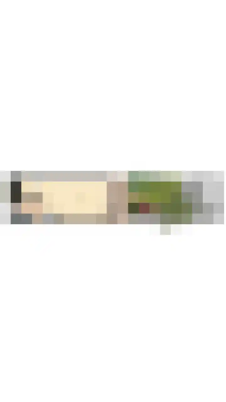 Hazerswoudestraat 63 Zoetermeer thumbnail 45