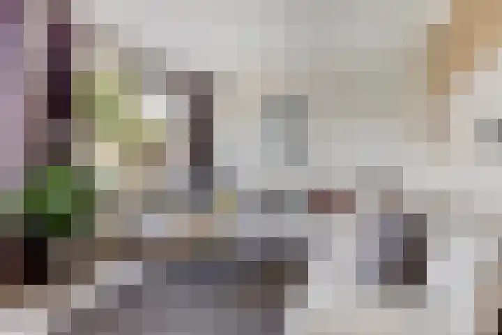 Hazerswoudestraat 7 Zoetermeer thumbnail 11