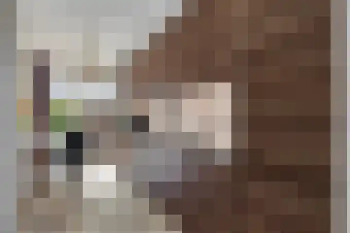 Hazerswoudestraat 7 Zoetermeer thumbnail 14