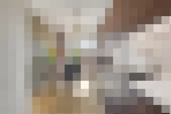 Hazerswoudestraat 7 Zoetermeer thumbnail 15