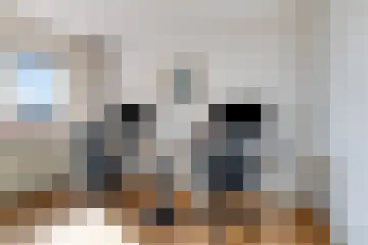 Hazerswoudestraat 7 Zoetermeer thumbnail 21
