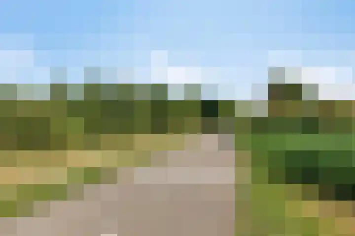 Hazerswoudestraat 7 Zoetermeer thumbnail 33