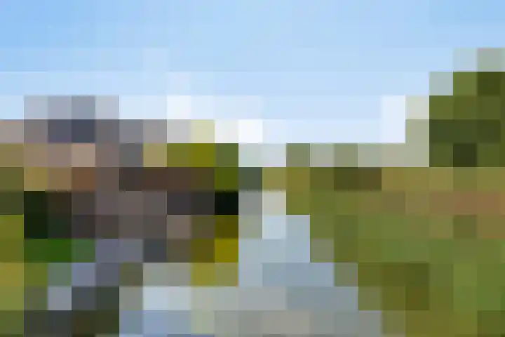 Hazerswoudestraat 7 Zoetermeer thumbnail 34
