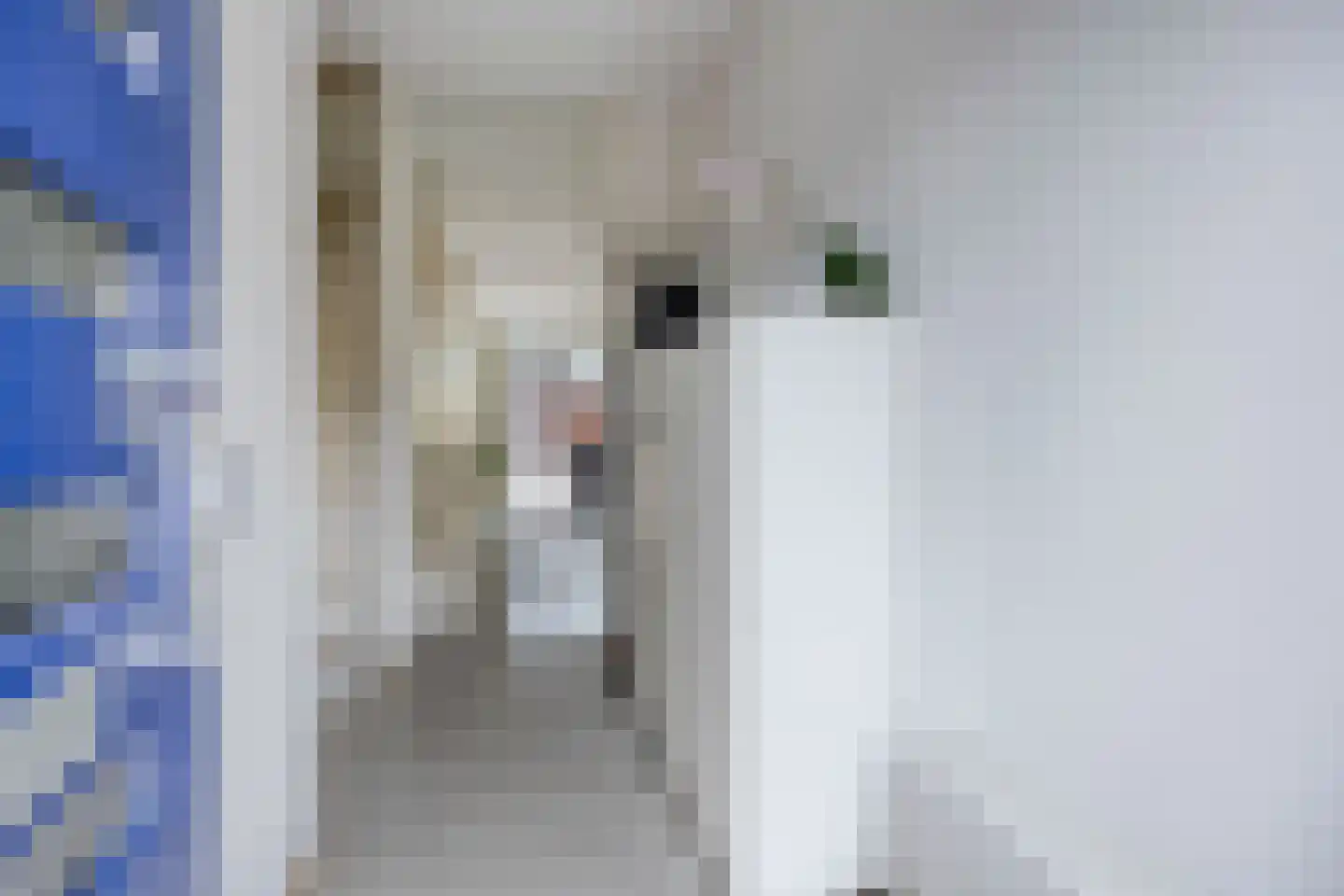 Hazerswoudestraat 73 Zoetermeer thumbnail 11