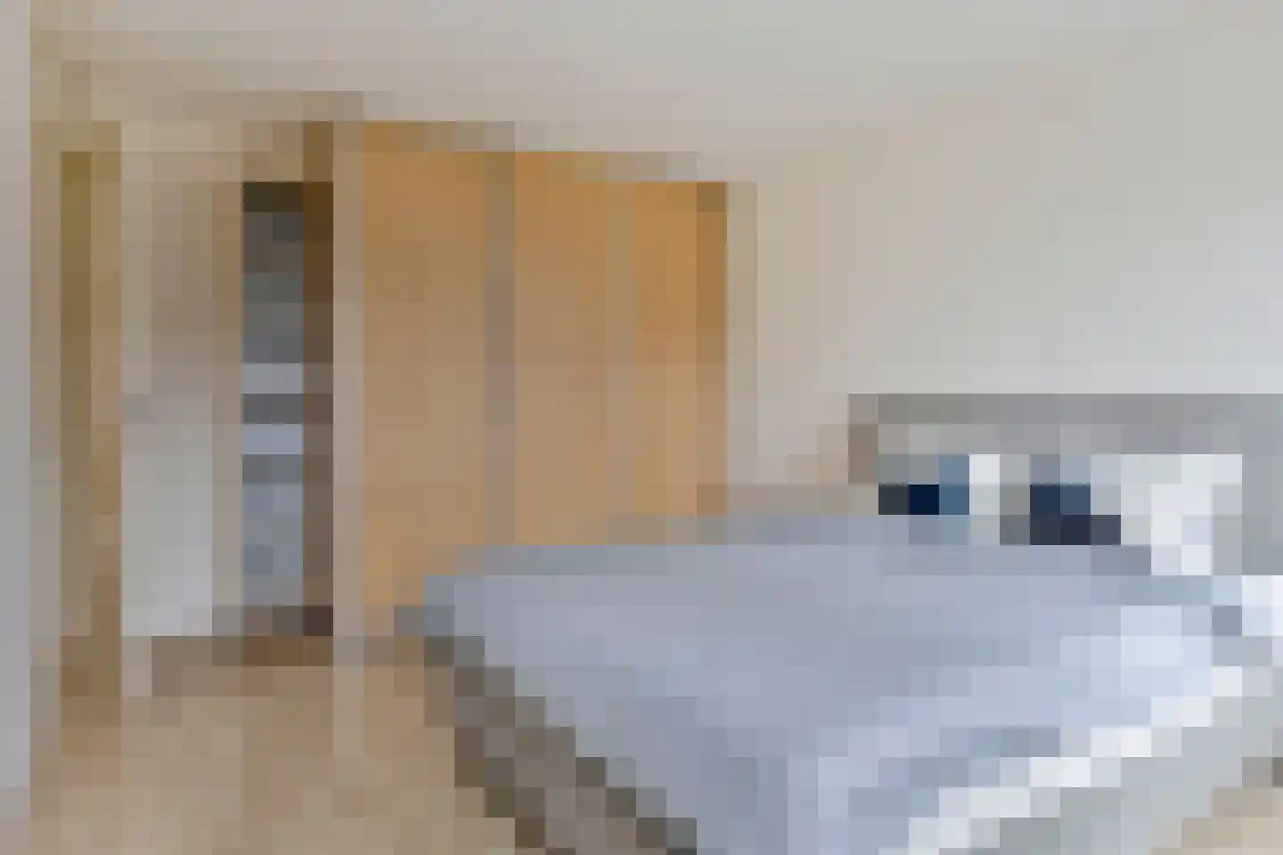 Hazerswoudestraat 73 Zoetermeer thumbnail 28