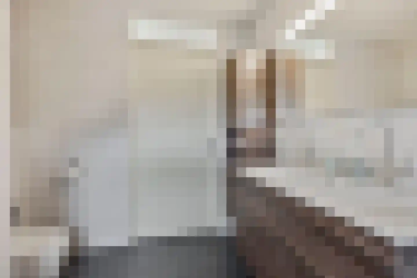 Hazerswoudestraat 73 Zoetermeer thumbnail 34