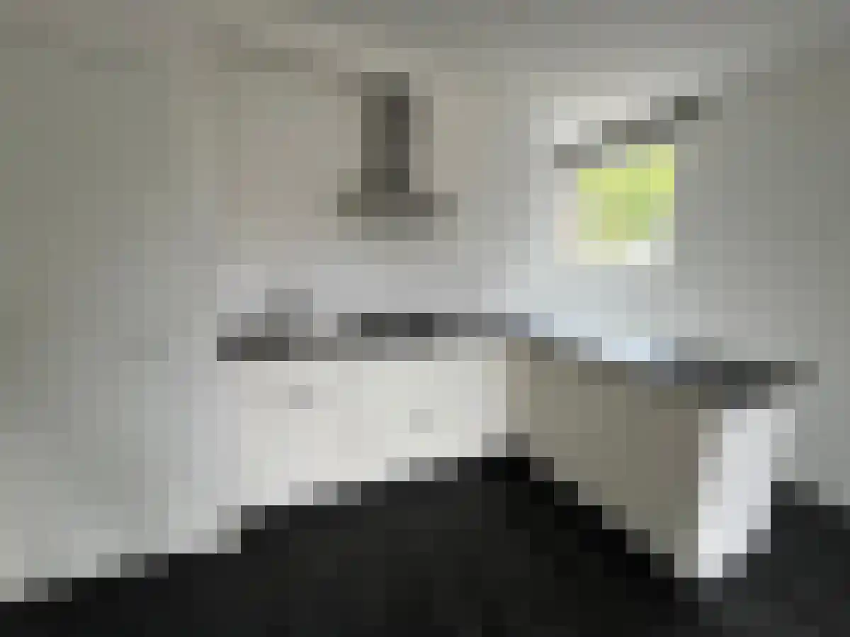 Hazesprong 3 Rotterdam thumbnail 5