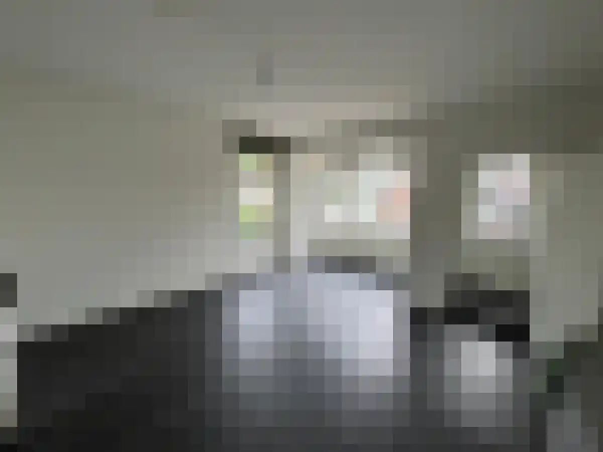 Hazesprong 3 Rotterdam thumbnail 6