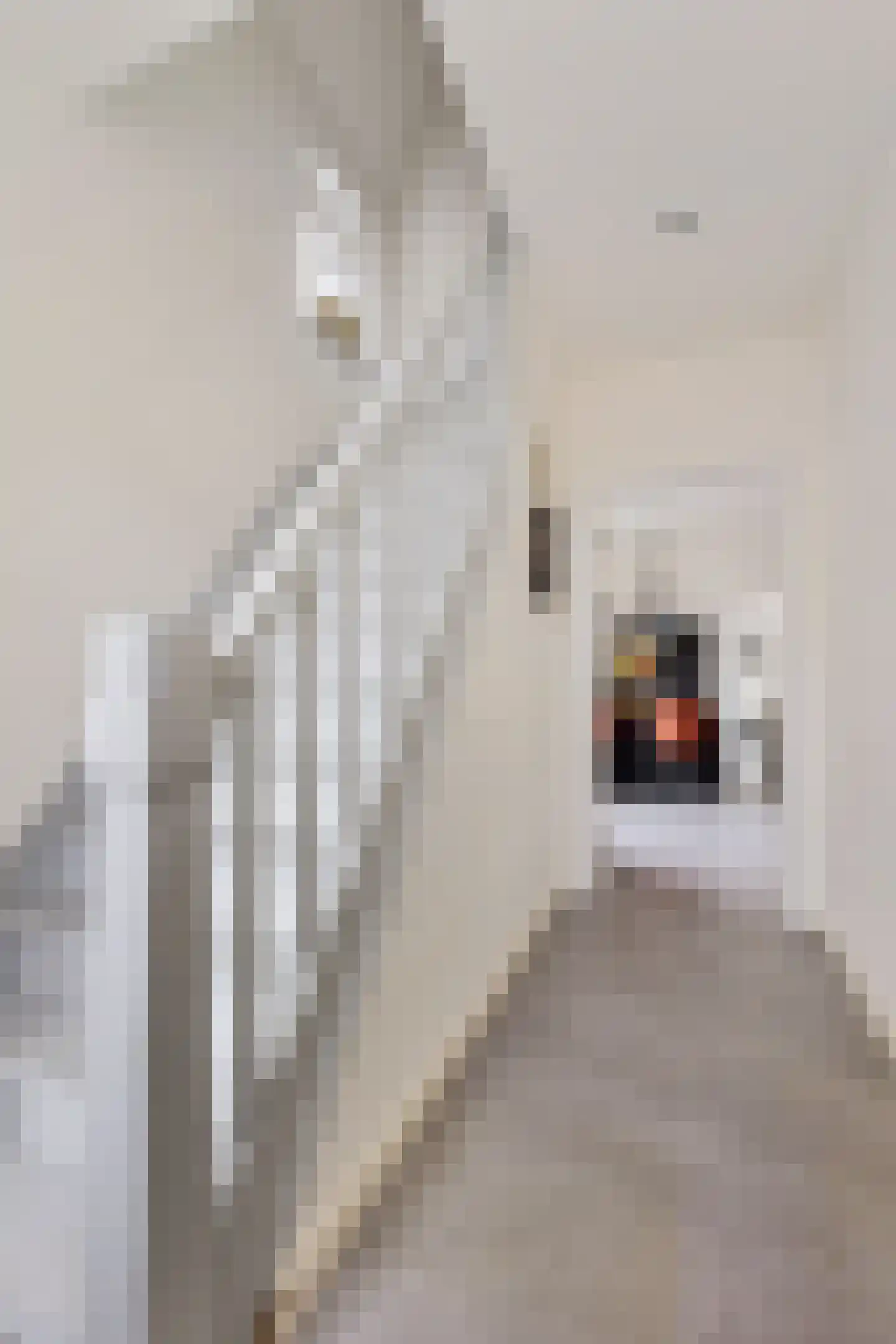 Hazestraat 52 Valkenswaard thumbnail 26