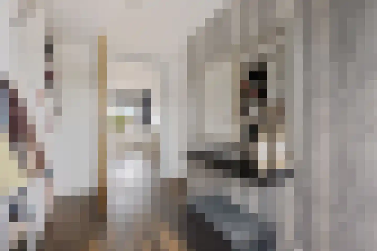 Hazestraat 52 Valkenswaard thumbnail 32