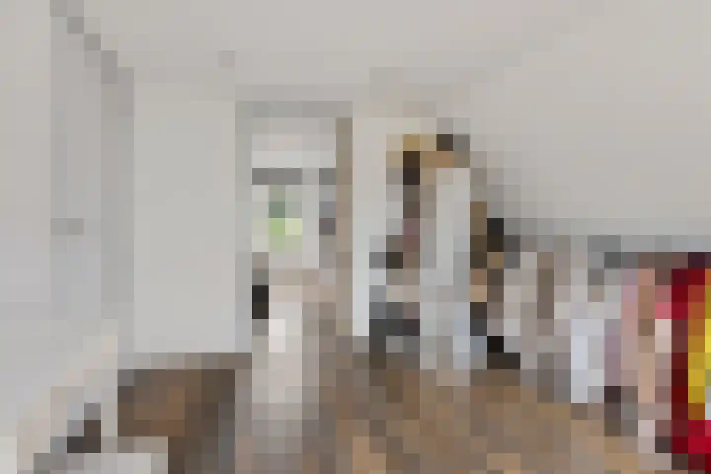 Hazestraat 52 Valkenswaard thumbnail 33