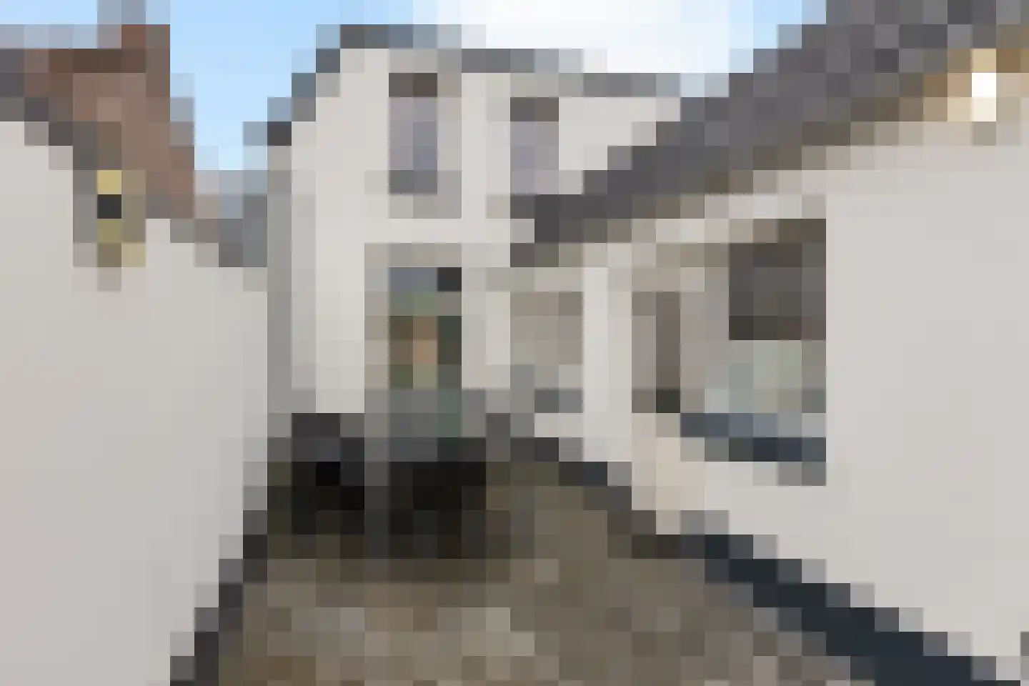 Hazestraat 52 Valkenswaard thumbnail 40