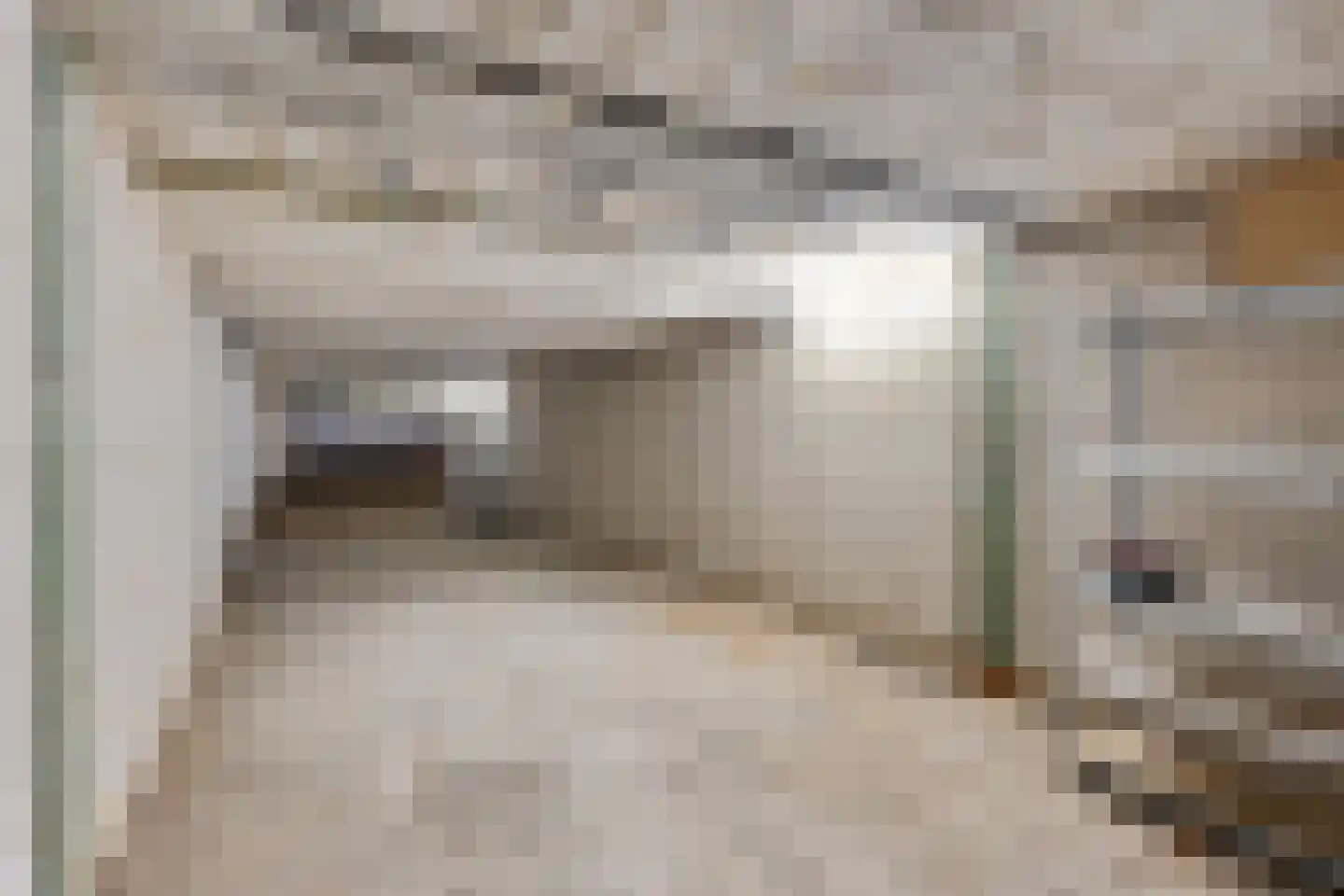 Hazestraat 52 Valkenswaard thumbnail 55
