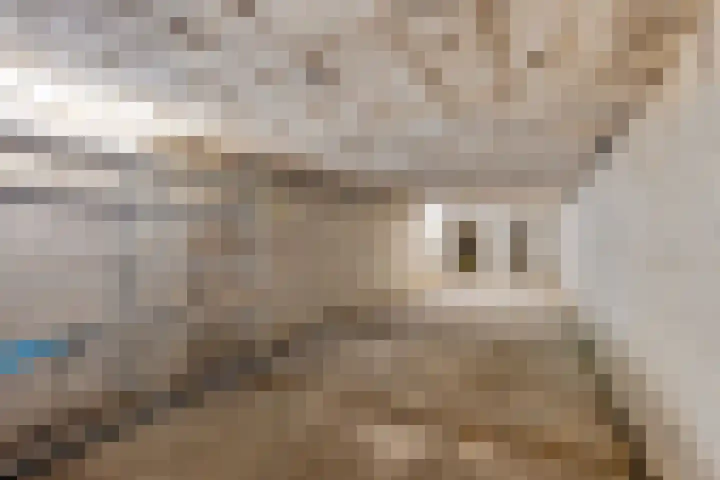 Hazestraat 52 Valkenswaard thumbnail 56