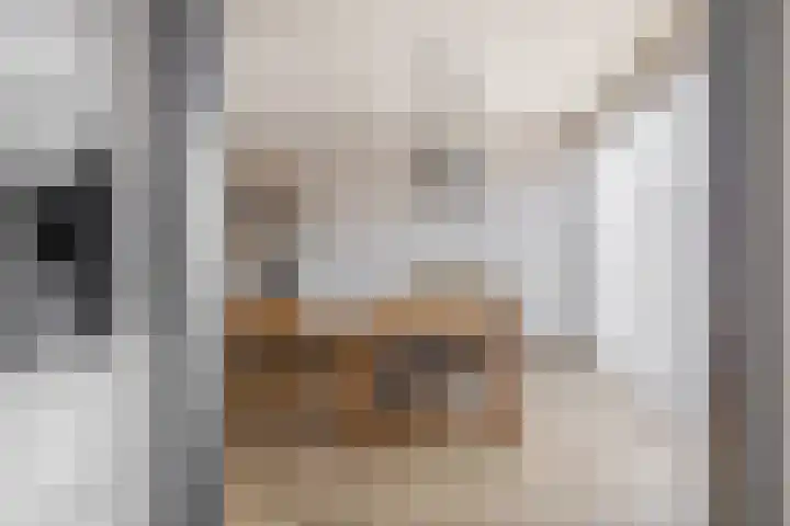 Hazeveld 34 Zevenhuizen thumbnail 11