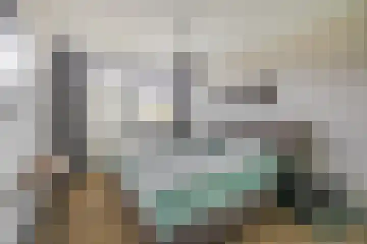 Hazeveld 34 Zevenhuizen thumbnail 15