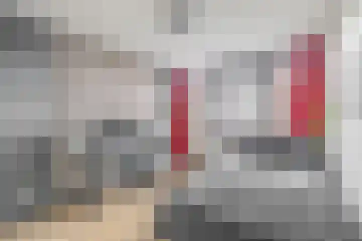 Hazeveld 34 Zevenhuizen thumbnail 17