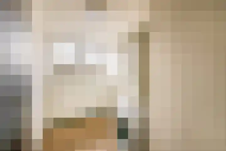 Hazeveld 34 Zevenhuizen thumbnail 24