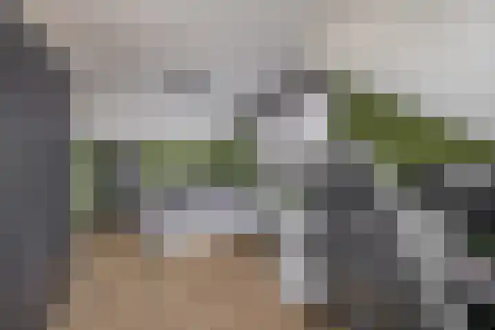Hazeveld 34 Zevenhuizen thumbnail 26